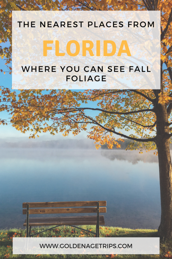 The Nearest Places from Florida Where You Can See Fall Foliage Golden Age Trips