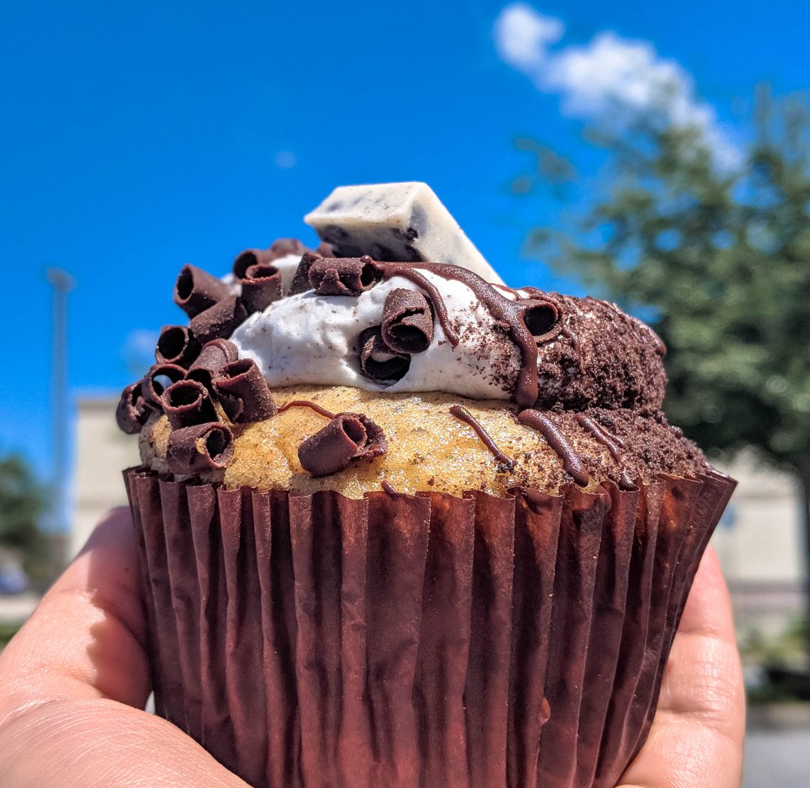 Wonderful Sarasota Desserts You Need to Try Golden Age Trips