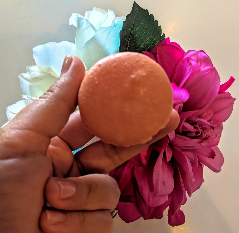 Wonderful Sarasota Desserts You Need to Try Golden Age Trips